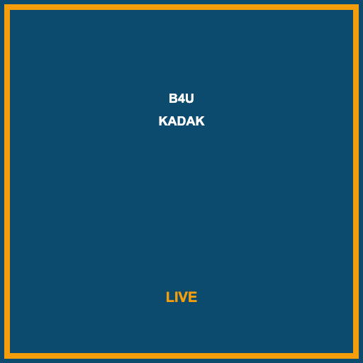 B4U Kadak