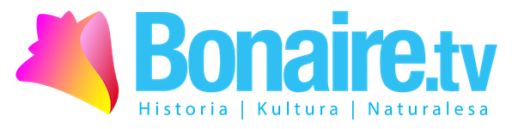 Bonaire TV