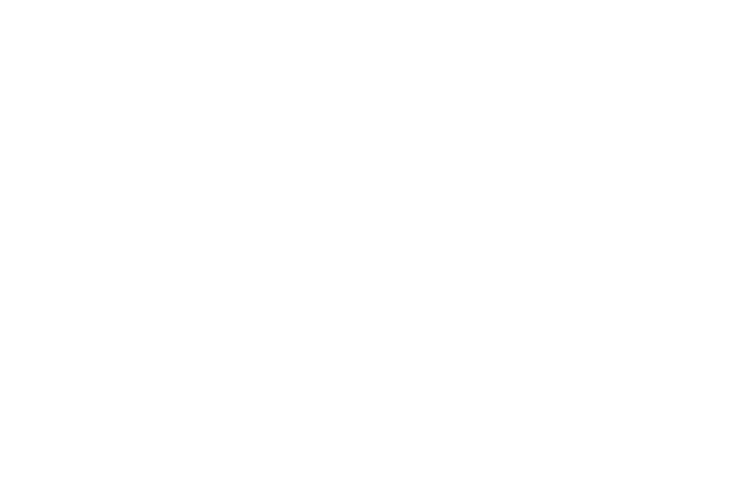 Designated Survivor