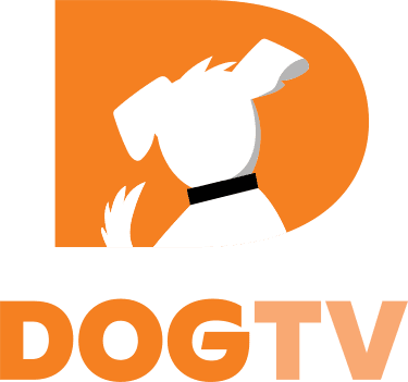 Dog TV