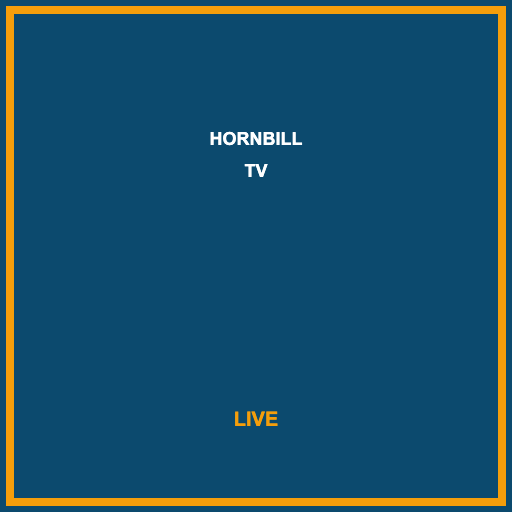 Hornbill TV