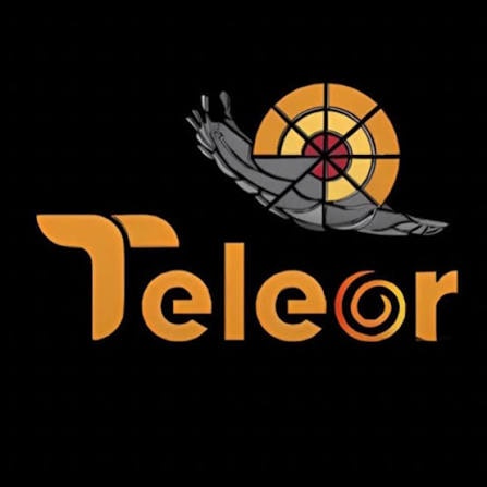 Canal 15 Teleor