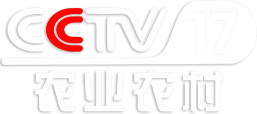 CCTV-17