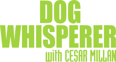 Dog Whisperer