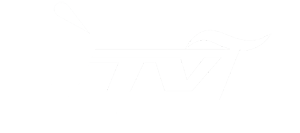 è Tv Marche