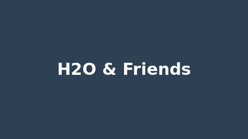 H2O & Friends