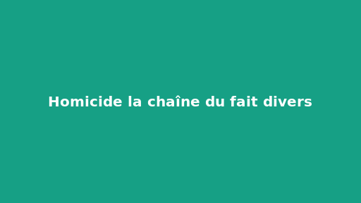 Homicide la chaîne du fait divers