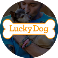Lucky Dog