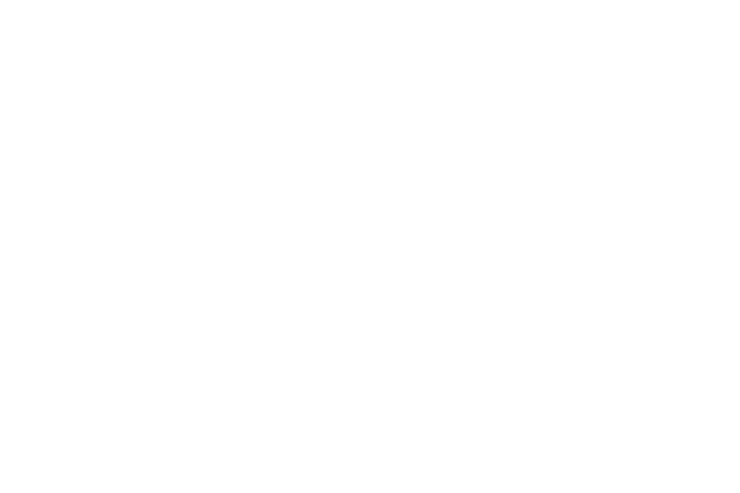 RACER International