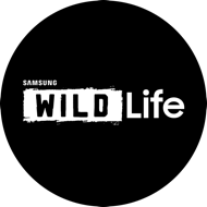 Samsung Wildlife