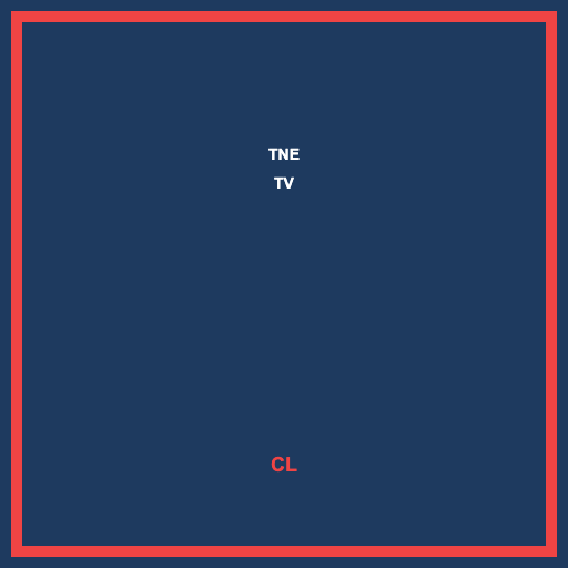 TNE TV