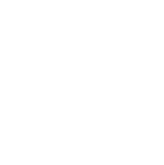 TV38 Sudost-Niedersachen