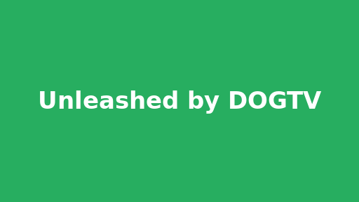 Unleashed by DOGTV