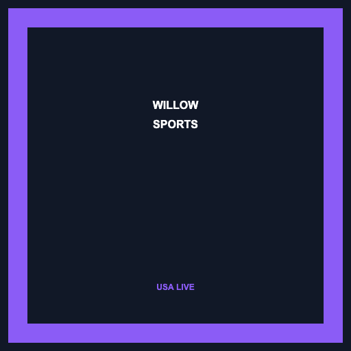 Willow Sports