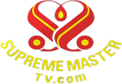 Supreme Master TV