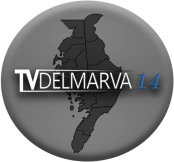 W14DK-D 14.1
